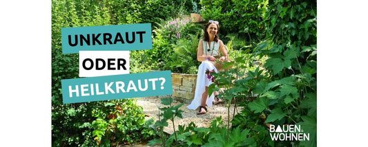 Heilwirkung von Nachtkerze, Lavendel, Giersch & Co. - Entdecke die Kraft der Wildpflanzen
