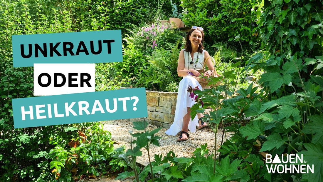 Heilwirkung von Nachtkerze, Lavendel, Giersch & Co. - Entdecke die Kraft der Wildpflanzen